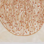 Fumi Imamura, One flower (花ひとつ), 2024