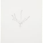 Michael Landy, Common Toadflax, 2002