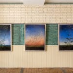 Michael Canning, Confessional, 2018-2022