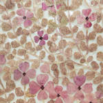 Fumi Imamura, One flower (花ひとつ), 2024