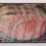 Aimée Parrott, Spring, 2020