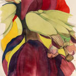 Sarah Graham, Musa acuminata (canvas) III, 2025