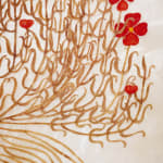 Fumi Imamura, One flower (花ひとつ), 2024