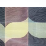 David Murphy, Blanket (Veiled), 2024