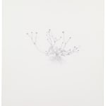 Michael Landy, Creeping Buttercup, 2002