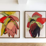 Sarah Graham, Musa acuminata (canvas) III, 2025