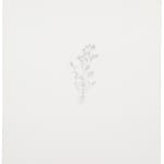 Michael Landy, Common Toadflax, 2002