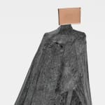 Lynn Chadwick, Two Winged Figures (2), 1976