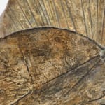 Lynn Chadwick, Two Winged Figures (2), 1976