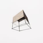 Pim Palsgraaf, MYCOSE CITY 42.2, 2022