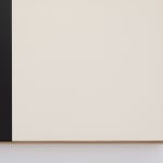 François Bonnel, Untitled Diptych
