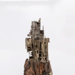 Pim Palsgraaf, MYCOSE CITY 42.2, 2022