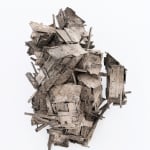Pim Palsgraaf, MYCOSE CITY 42.2, 2022