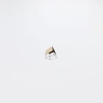 Pim Palsgraaf, MYCOSE CITY 42.2, 2022