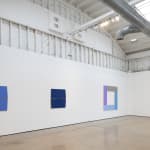 Seán Shanahan, Untitled, 2023
