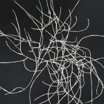 Lin Utzon, Cosmic Dance (9052), 2012