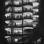 Radenko Milak, Noisy Neighbours, 2023