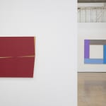 Seán Shanahan, Untitled, 2023