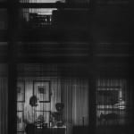Radenko Milak, Noisy Neighbours, 2023