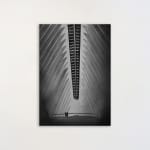 Radenko Milak, Noisy Neighbours, 2023