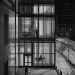 Radenko Milak, Noisy Neighbours, 2023