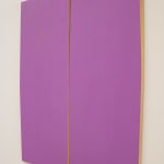 Seán Shanahan, Untitled, 2023