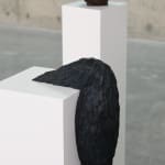Colin Knight, Conspirators, 2025