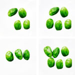 A Straightforward Guide to Bean Counting, Parkia speciosa (Petai)