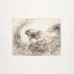 Francisco Toledo, "La cenicienta", 1984