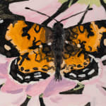 Claudia Keep, June 21st, 1:22 PM, Orange Butterﬂy, 2024