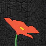 Laurent Pernot, Les rêves noirs – Fire poppies, 2025