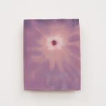 XIE Fan, Celestial Signs, 2025