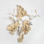 Alexandre Yang, Requiem pour les Indifférents, 2025