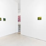 Jamiu Agboke, Weeping Willow, 2022