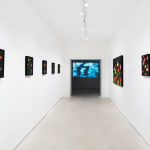 Laurent Pernot, Les rêves noirs – Fire poppies, 2025