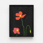 Laurent Pernot, Les rêves noirs – Fire poppies, 2025