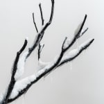 Laurent Pernot, The silent forest, 2024