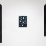 Laurent Pernot, Blooming from the dark, 2025