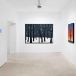 Laurent Pernot, Blooming from the dark, 2025