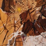 Dianna Settles, The earth drank the juice, 2024