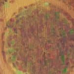 XIE Fan, Celestial Signs, 2025