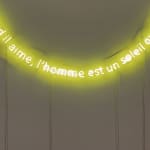 Laurent Pernot, VIVRE, 2012