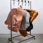 Fawn Rogers, Car Meat (Akhal Teke), 2023