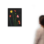 Laurent Pernot, Les rêves noirs – Fire poppies, 2025