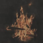 XIE Fan, Flame, 2024