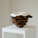 Kelly Akashi, Curled lifeform, 2018