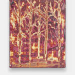 Dennis Miranda Zamorano, El: Imposible… nadie intentó incendiar una ciudad, o si? (Portrait of what was once my home), 2024