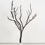 Laurent Pernot, The silent forest, 2024