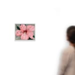 Claudia Keep, June 21st, 1:22 PM, Orange Butterﬂy, 2024