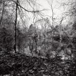 Isabelle Armand, Photography Grid 1, 2013 - 2018